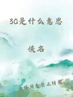 3q是什么意思