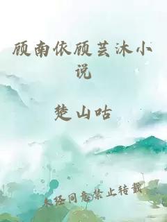 顾南依顾芸沐小说