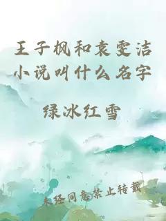 王子枫和袁雯洁小说叫什么名字