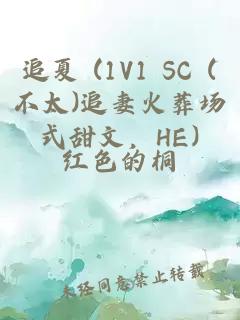 追夏 (1v1 sc (不太)追妻火葬场式甜文，he)