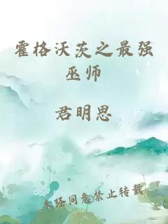 霍格沃茨之最强巫师